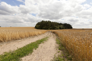 Rural paved road  