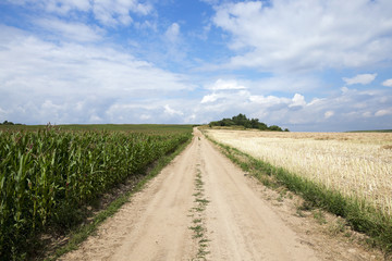 Fototapeta na wymiar road in a field 