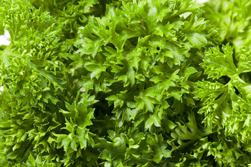 Photo agriculture, Europe 