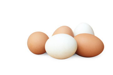 eggs on white background