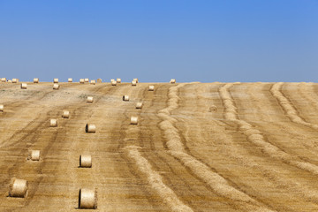 haystacks in a field of straw  