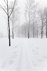 winter road   with snow