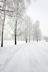 winter road  ,  with snow