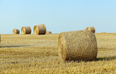 haystacks in a field of straw 