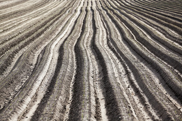 plowed field, furrows  