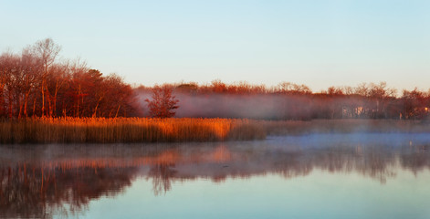 Fototapeta premium fog sky river water bay forest