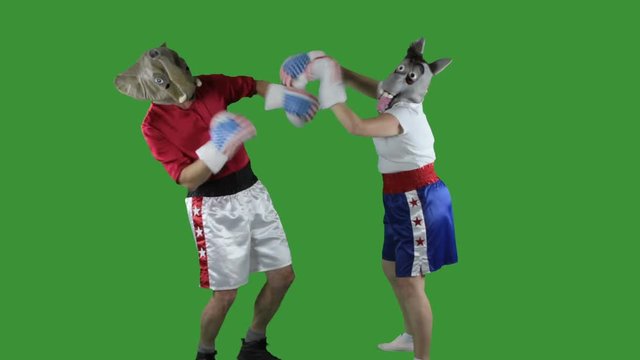 Man in elephant GOP mask and woman in donkey Democrat mask wearing boxing shorts throwing childish punches against  a green screen .