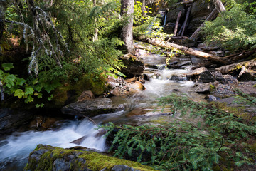 Obraz premium Holland Creek