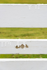 Poorly painted white fence, with paint drips and chipped
