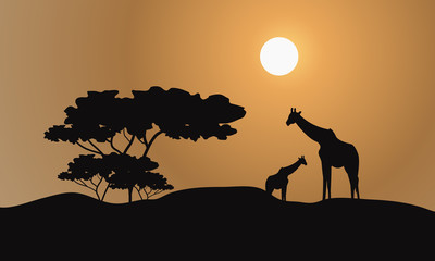 Fototapeta na wymiar Giraffe silhouette in hills