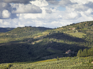 vineyard valley in tuscany
