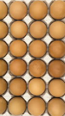 brown egg, chicken egg in a tray, pack of eggs