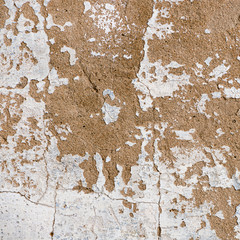 Natural plaster wall surface for texture or backgrounds.