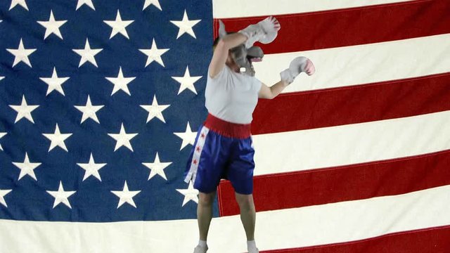 Woman wearing Democrat donkey mask in boxing shorts and gloves doing a victory dance against American Flag.