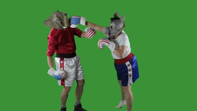 Woman In Donkey Democrat Mask Wearing Boxing Shorts Delivering A Knock-out Punch To A Man Wearing A GOP Elephant Mask Against Green Screen.