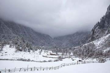 Obraz premium Country in snow