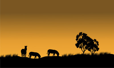 Silhouettes of a zebra and tree against
