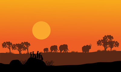 Fototapeta na wymiar Elephant and rhino silhouette 