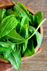 sorrel leaves