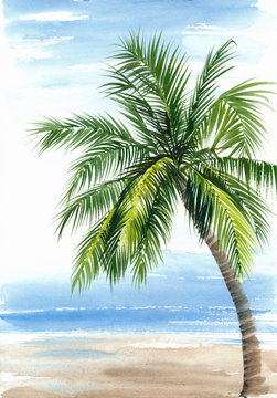 Tropical resort view with the seashore and coconut palm. Original watercolor painting.