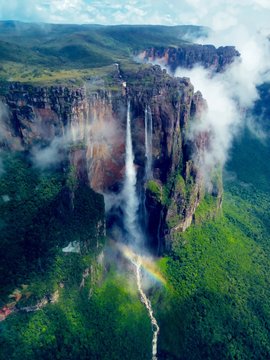 Fototapeta ギアナ高地のエンジェルフォール