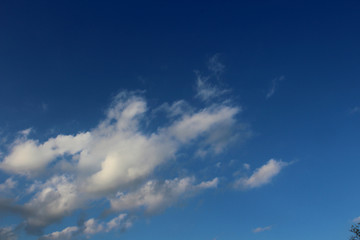 Obraz premium skytonia