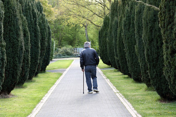 an elderly man walking along the alley in a cemetery
