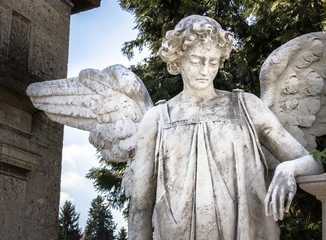 Weeping angel