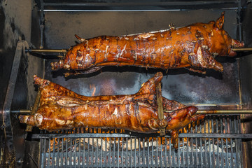 cochons au rôtissoire