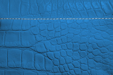 Red pearl texture of reptile skin