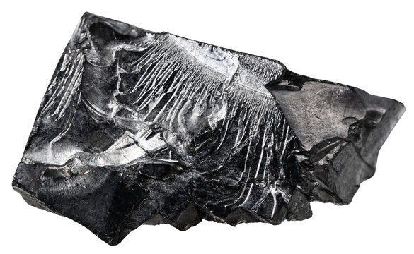 raw shungite stone isolated on white