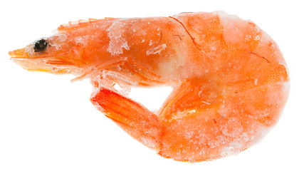frozen cooked shrimp isolated on white