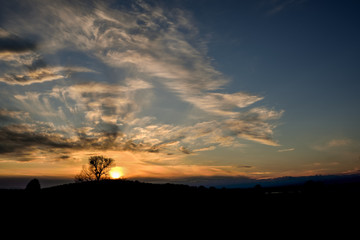 Einzelner Baum in der Ferne bei Abendlicht