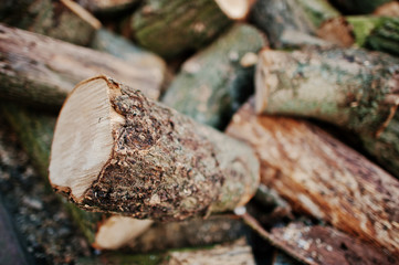 A pile of chopped wood, sawn wood