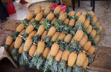 Ananas - Südindien.
