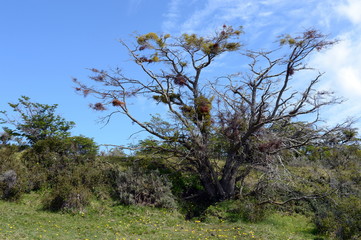  Harberton estate is the oldest farm of Tierra del Fuego and an important historical monument of the region.