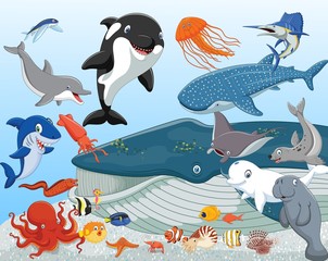 Fototapeta premium Cartoon sea animals