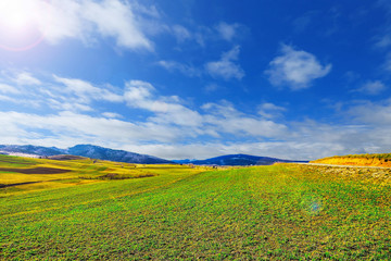 Landscape with green meadow and blue sky