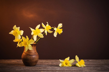 Daffodil in vase on brown background