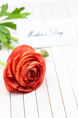 Mother's Day