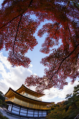 Asian beautiful trees, architecture, Asia, Japan
