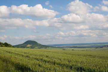 Obraz premium Hill Oblik in the Ceske Stredohori, Czech republic