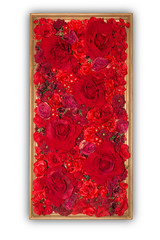 Beautiful red artificial flowers in wooden frame isolated on whi