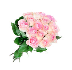 Bouquet of pink roses
