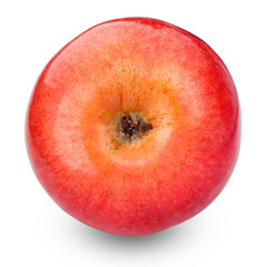Fresh red apple isolated on white. With clipping path