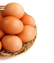chicken eggs