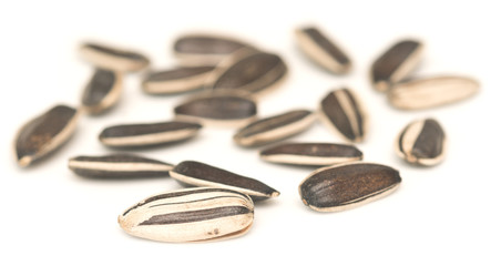raw sunflower seeds