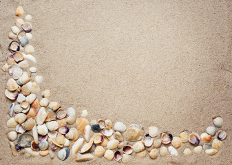 Fototapeta na wymiar Sea shells on sand. 