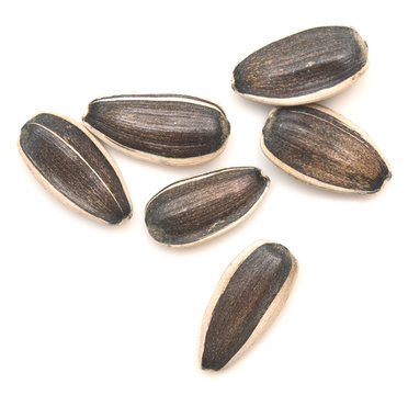 Raw Sunflower Seeds