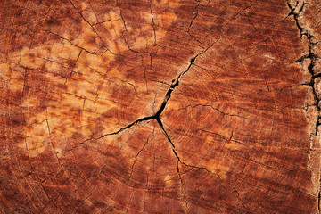 Abstract crack wood ancient spiral style background